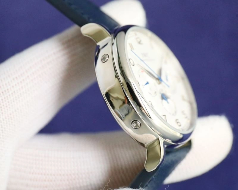 Flexible IWC Watches 185063