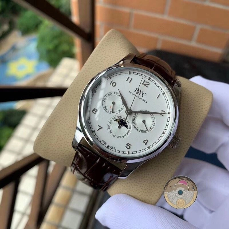 IWC Watches Elegant 185066