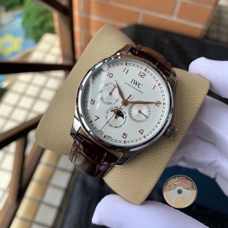 IWC Watches Elegant 185066