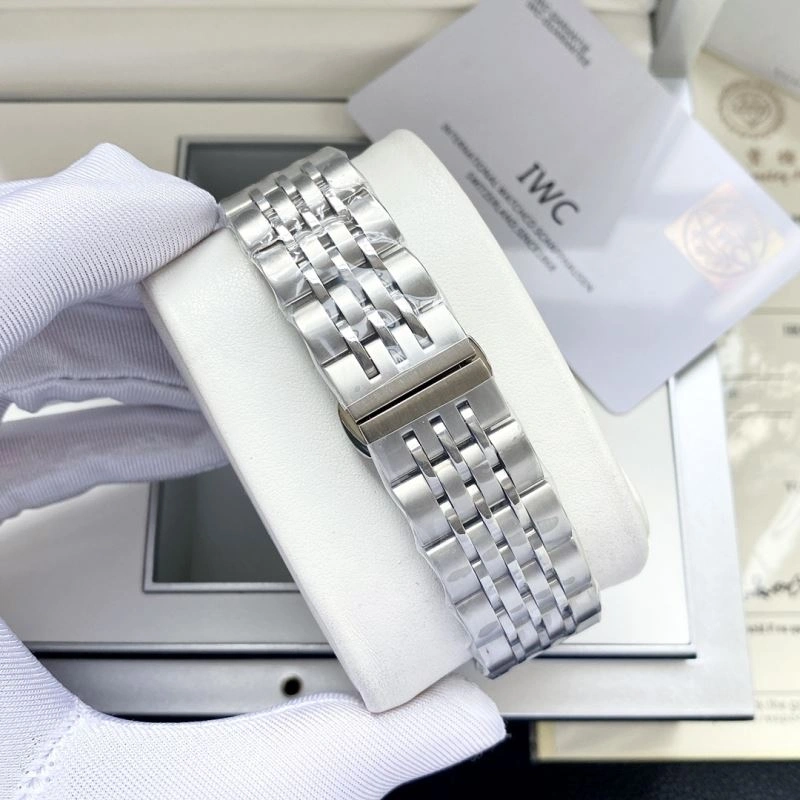 IWC Watches Sophisticated 185080