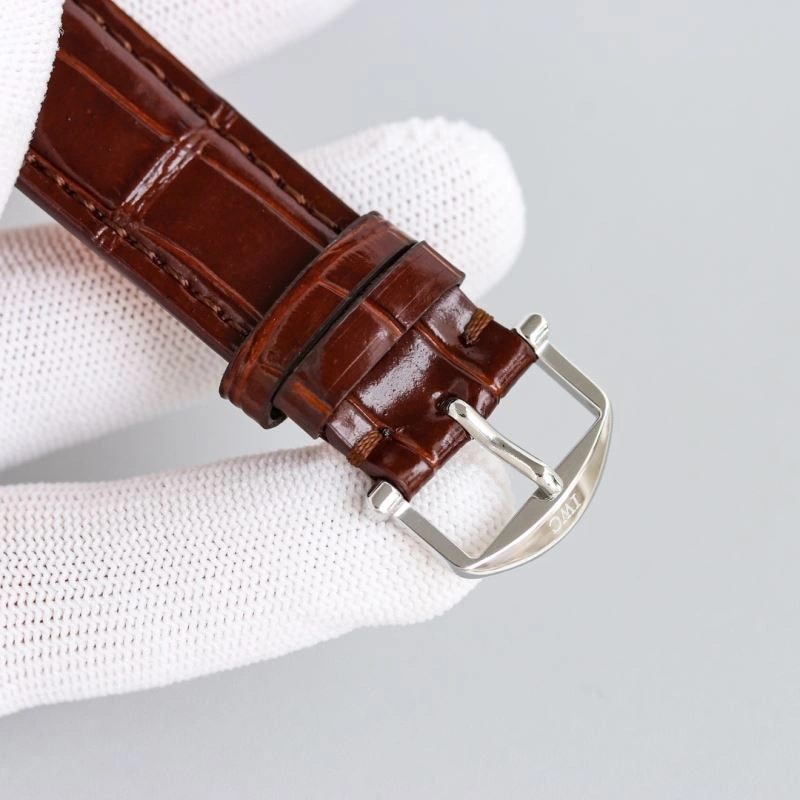 Trendsetting IWC Watches 185024