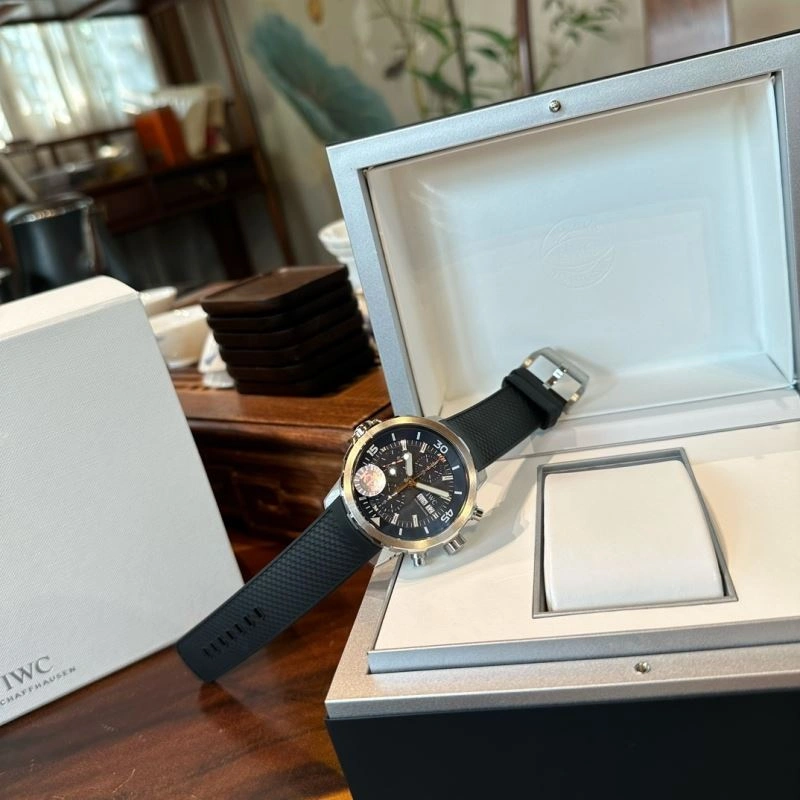 IWC Watches Tailored 185001