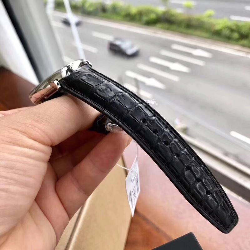 IWC Watches Stylish 184856