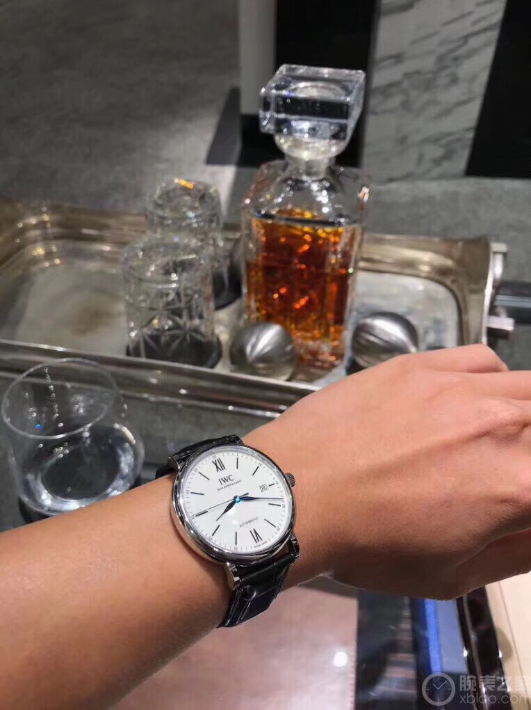 IWC Watches WeatherProof 184842