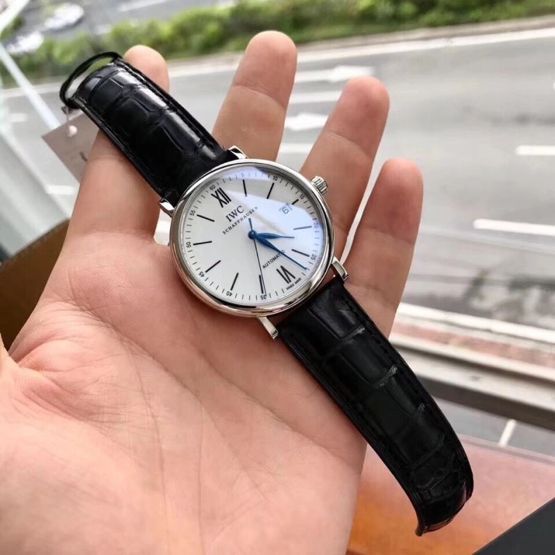 IWC Watches WeatherProof 184842