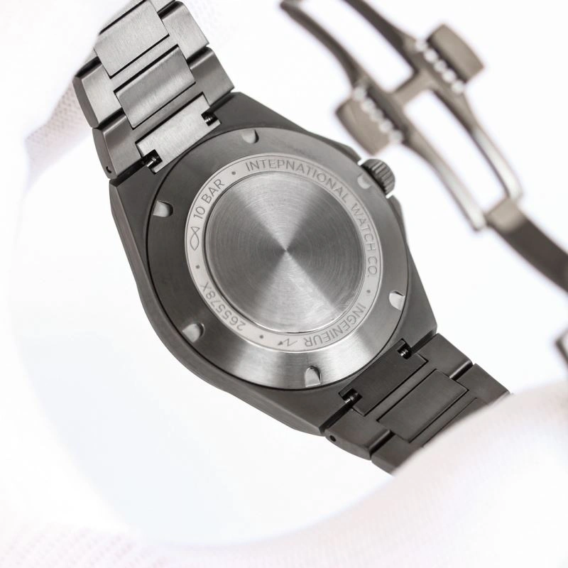 IWC Watches Flexible 184847