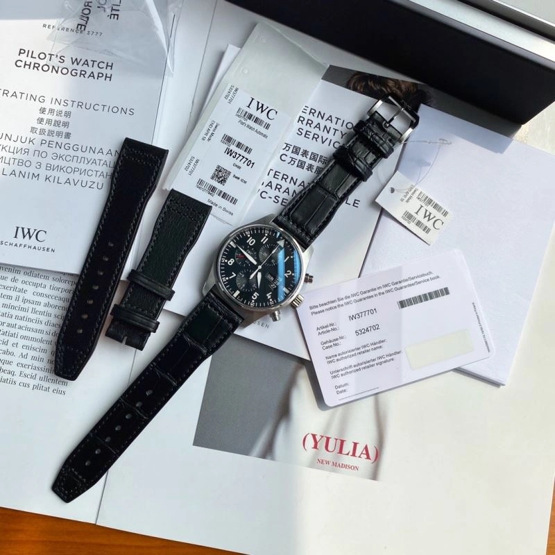 IWC Watches Sleek 184840