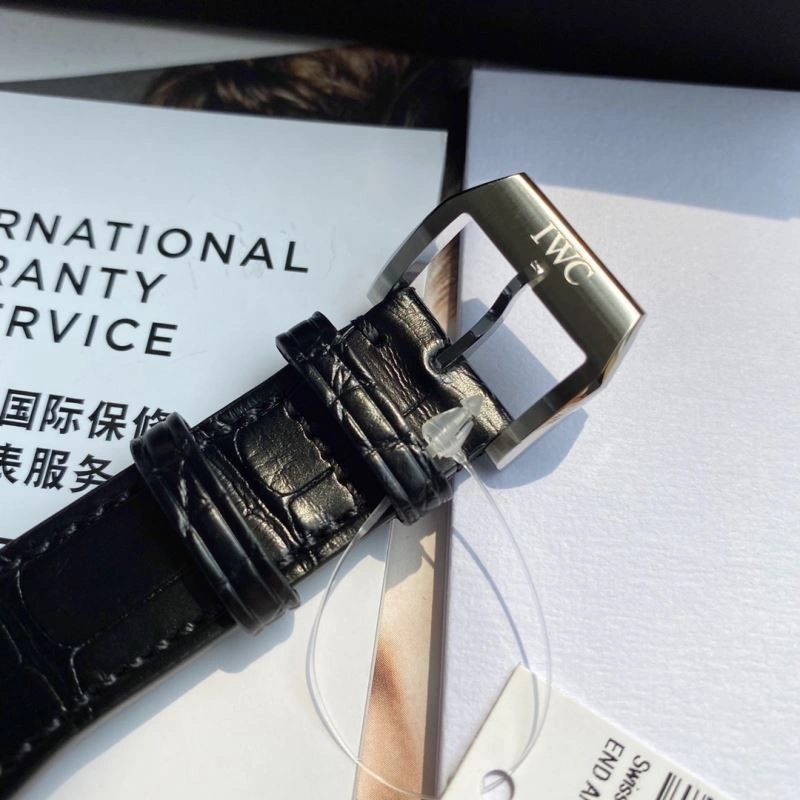IWC Watches Sleek 184840