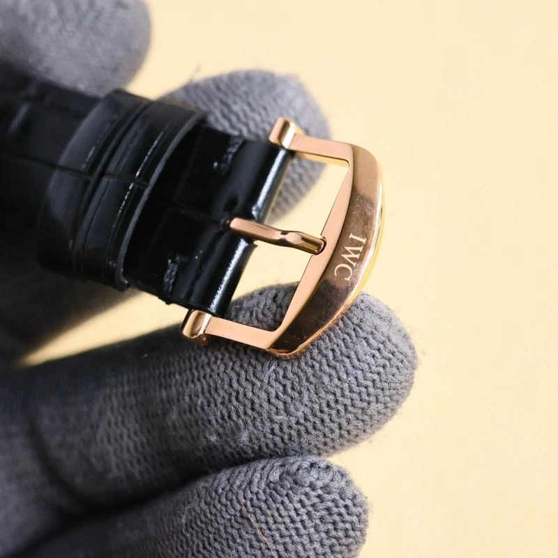 IWC Watches Compact 184818