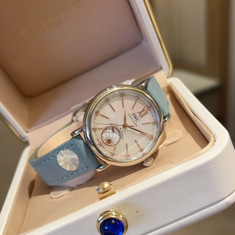 IWC Watches EasyCare 184814