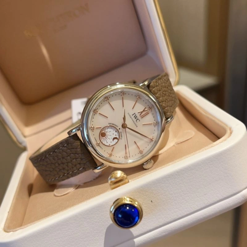 IWC Watches EasyCare 184814