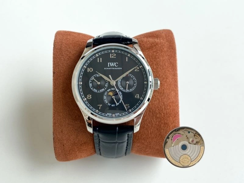 GoAnywhere IWC Watches 184774