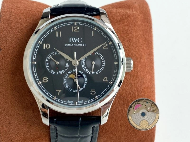 GoAnywhere IWC Watches 184774