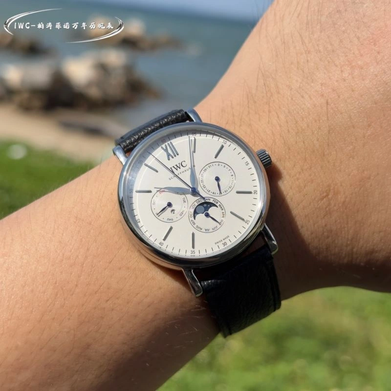 IWC Watches ModernLook 184771