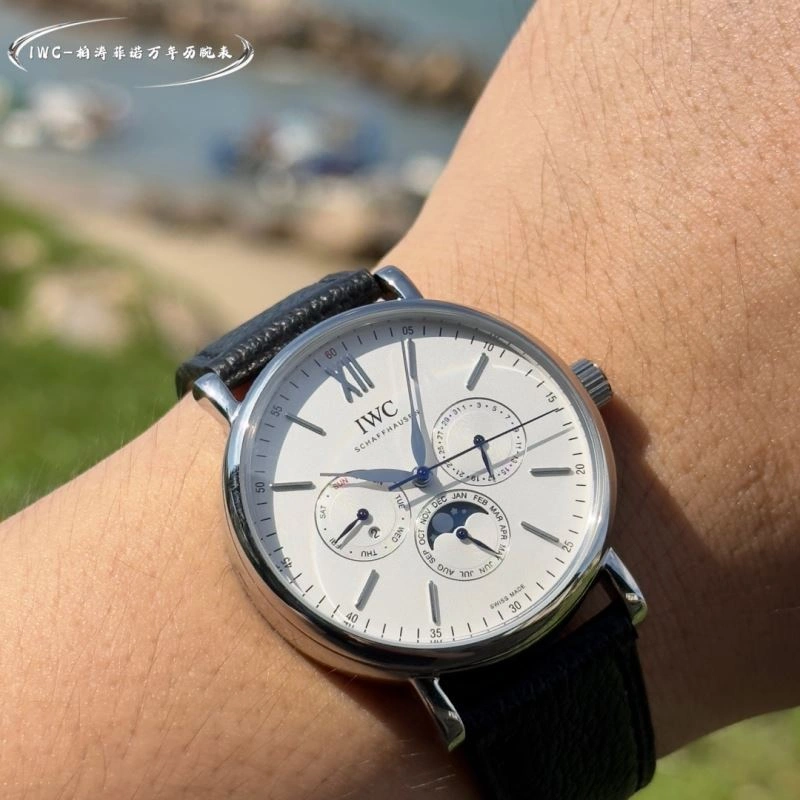 IWC Watches ModernLook 184771