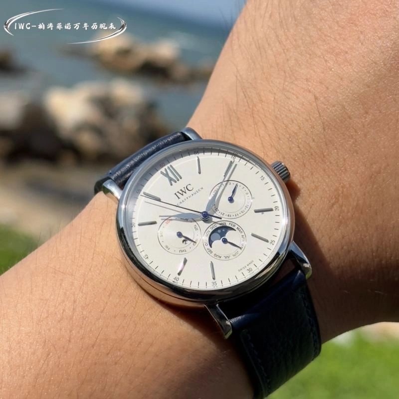 IWC Watches ModernLook 184771