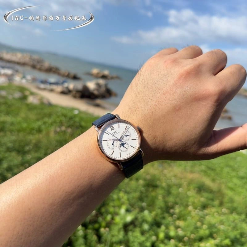 IWC Watches Colorful 184761