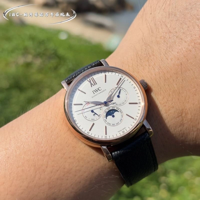 IWC Watches Colorful 184761