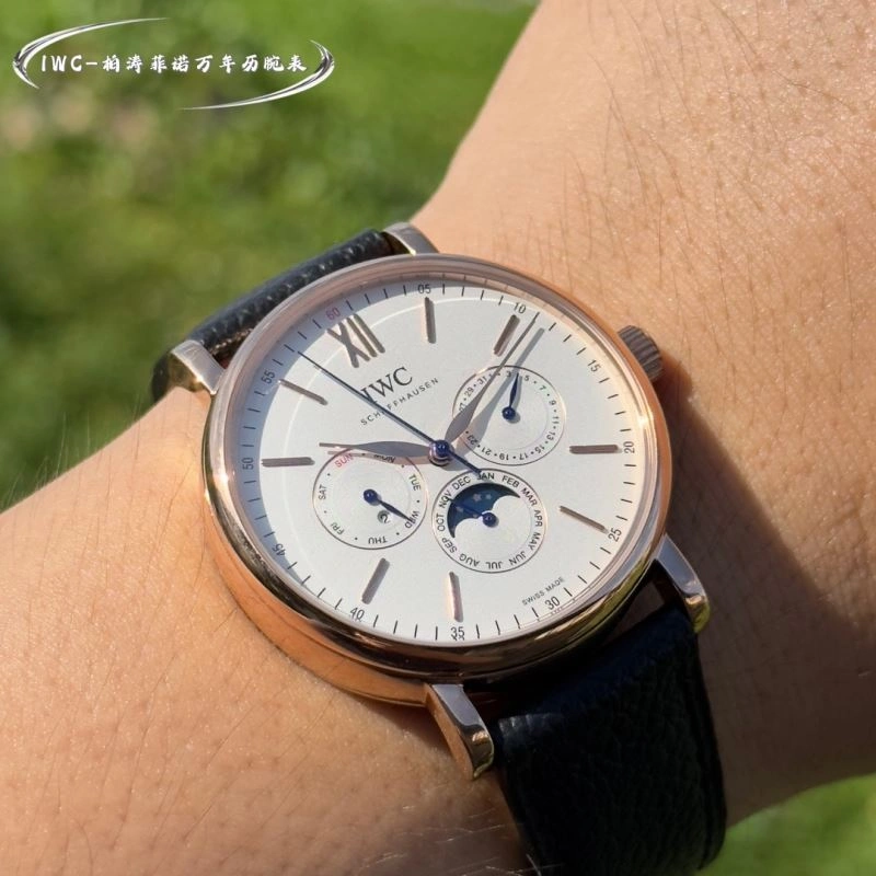 IWC Watches Colorful 184761