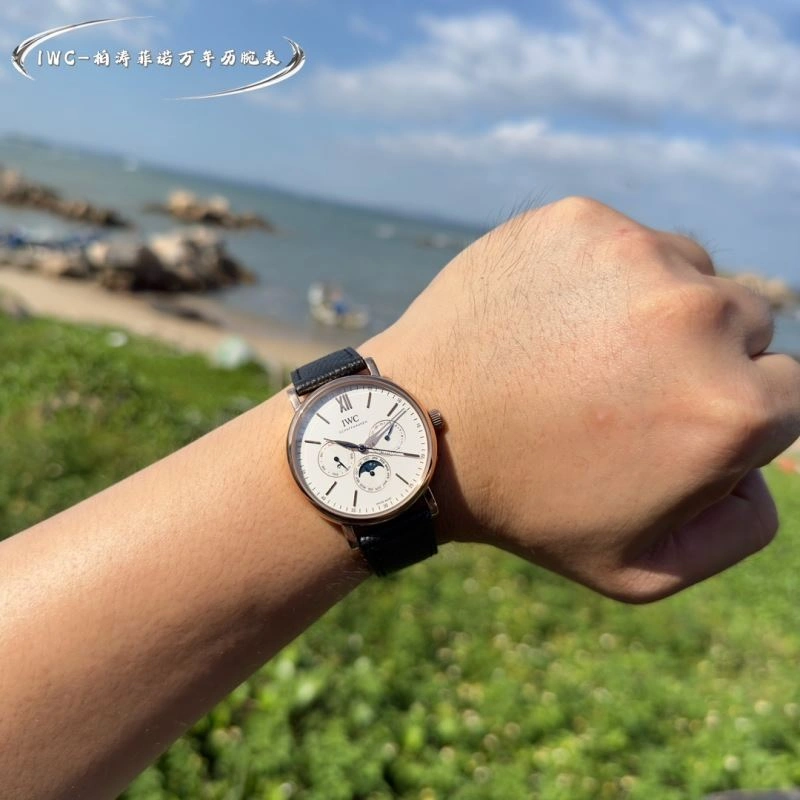 IWC Watches Colorful 184761