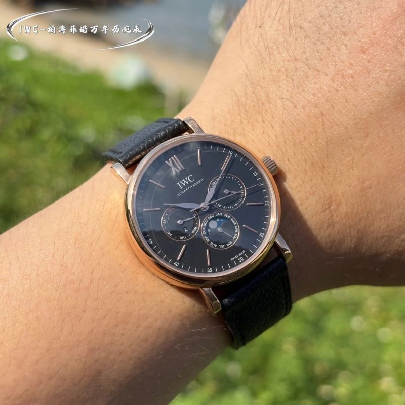 IWC Watches WaterResistant 184768