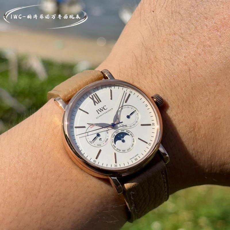IWC Watches WaterResistant 184768
