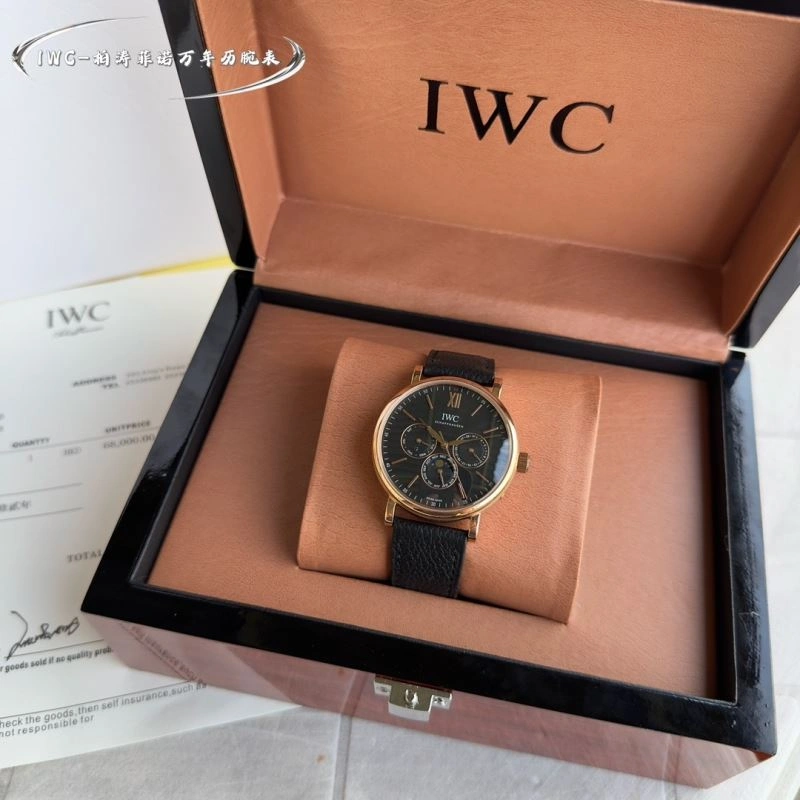 IWC Watches WaterResistant 184768