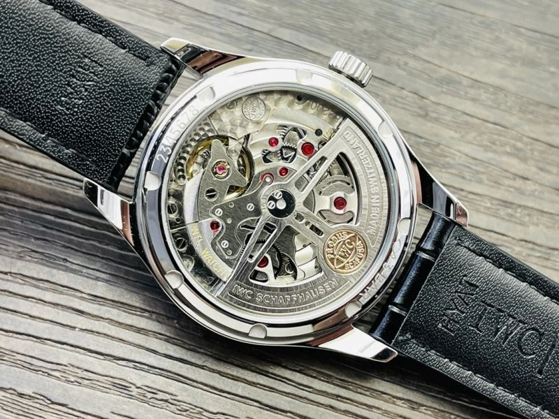 IWC Watches Colorful 184753