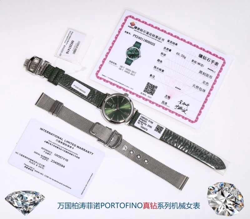 Flexible IWC Watches 184745