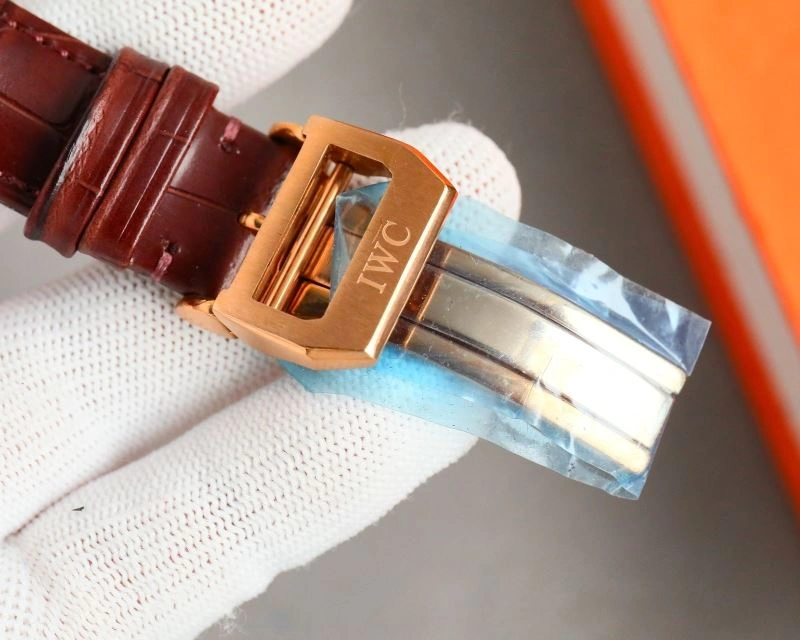 GoAnywhere IWC Watches 184737
