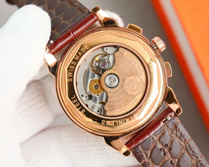 GoAnywhere IWC Watches 184737