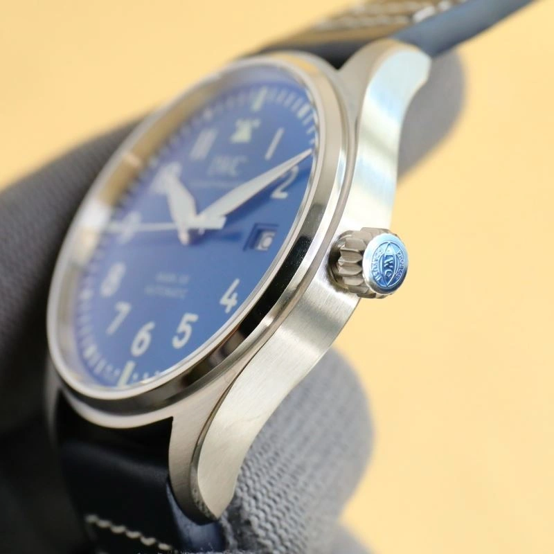 Flexible IWC Watches 184675