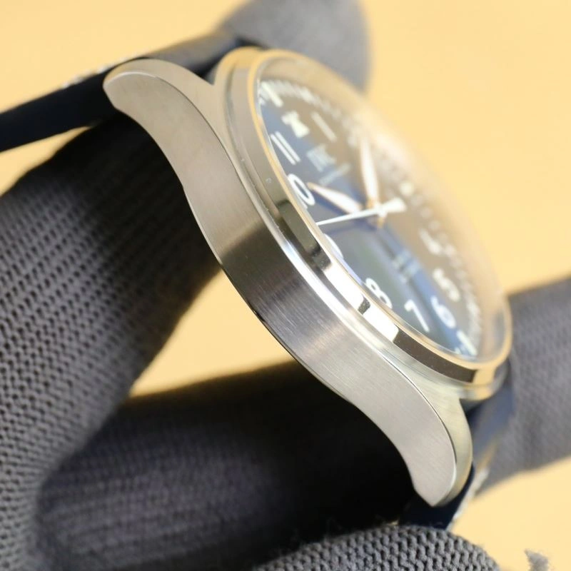 Flexible IWC Watches 184675