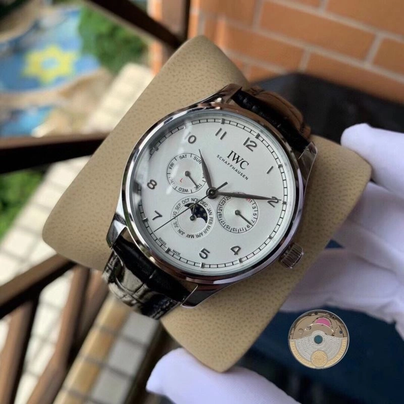 Elegant IWC Watches 184673