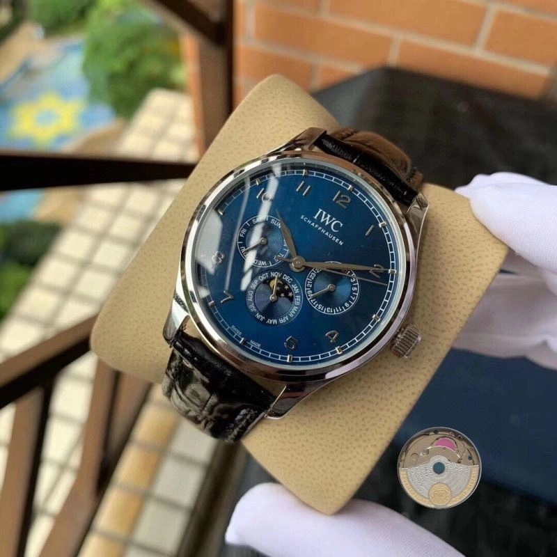 Elegant IWC Watches 184673