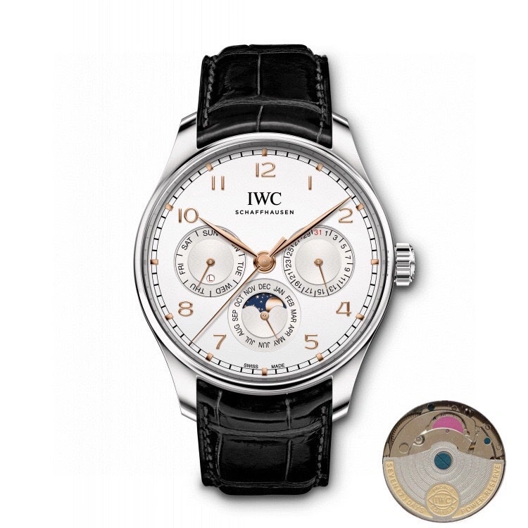 Elegant IWC Watches 184673