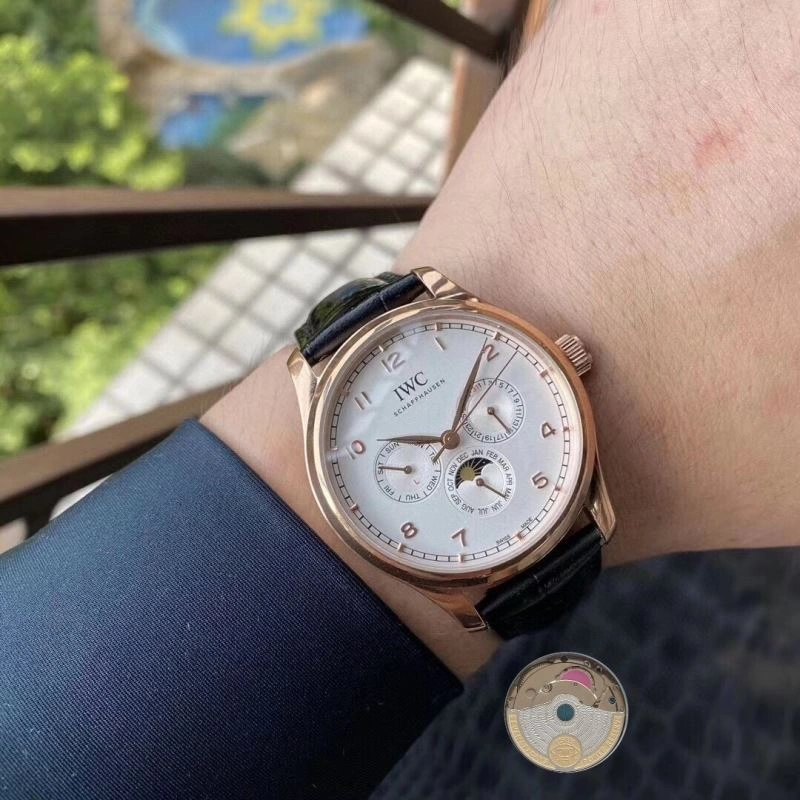 IWC Watches Compact 184669