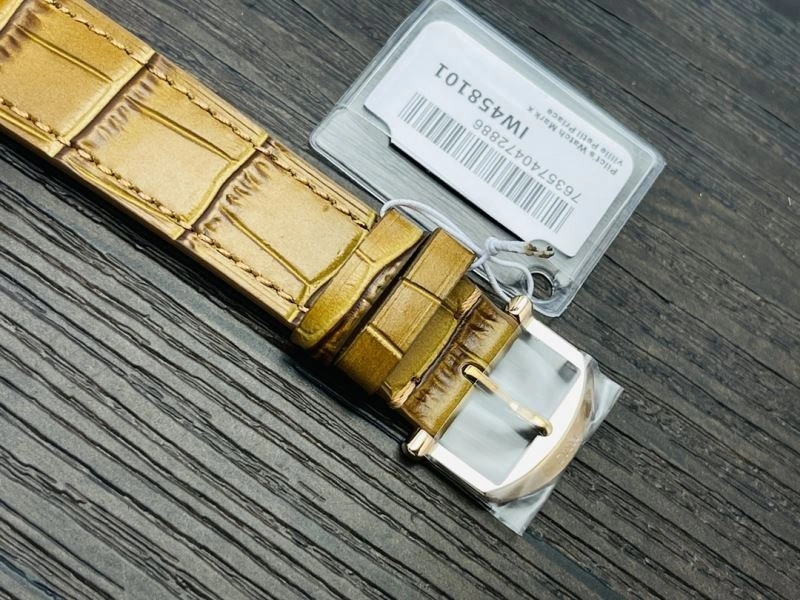 IWC Watches WeatherProof 184647