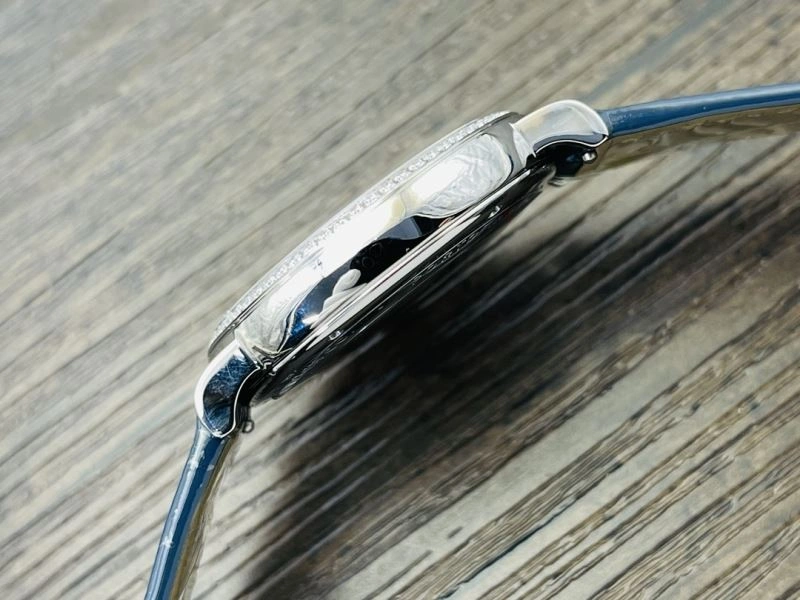 Vibrant IWC Watches 184645