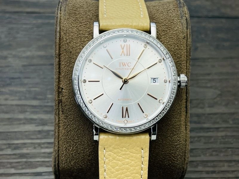 EasyCare IWC Watches 184633