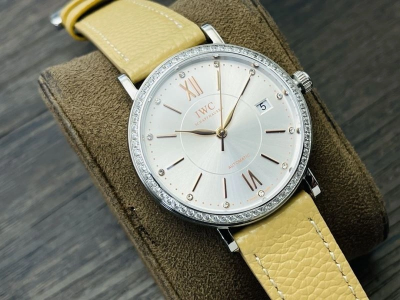 EasyCare IWC Watches 184633