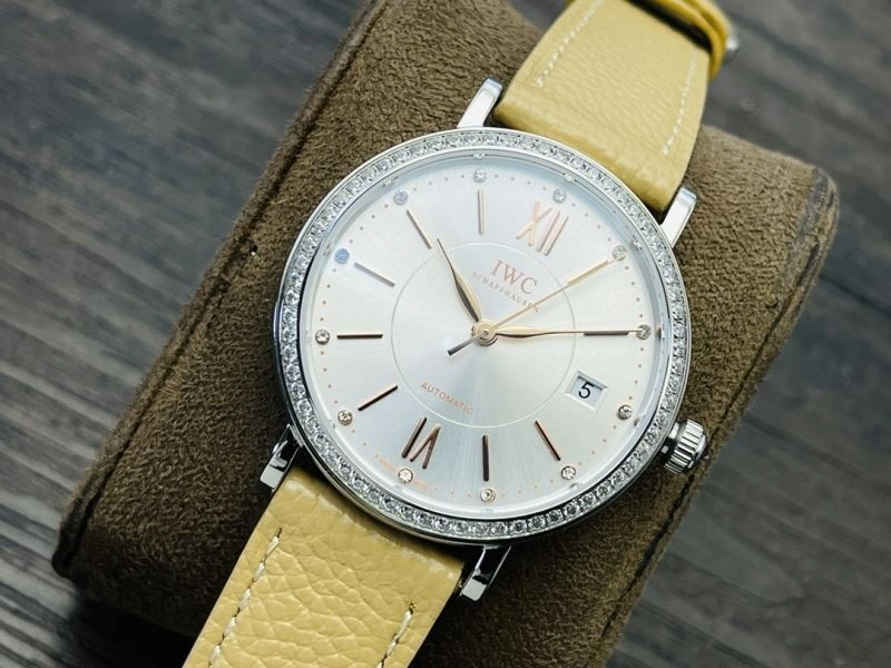 EasyCare IWC Watches 184633