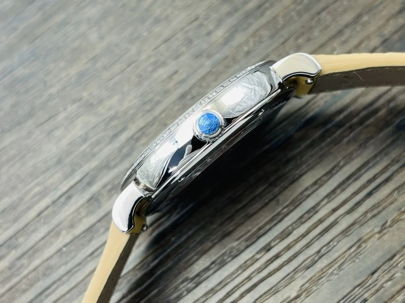 EasyCare IWC Watches 184633