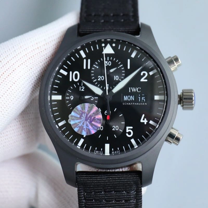 EasyCare IWC Watches 184629