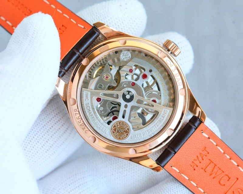 EasyCare IWC Watches 184624