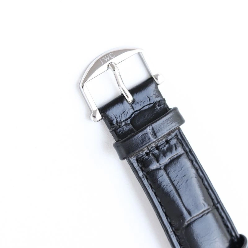 IWC Watches Compact 184619
