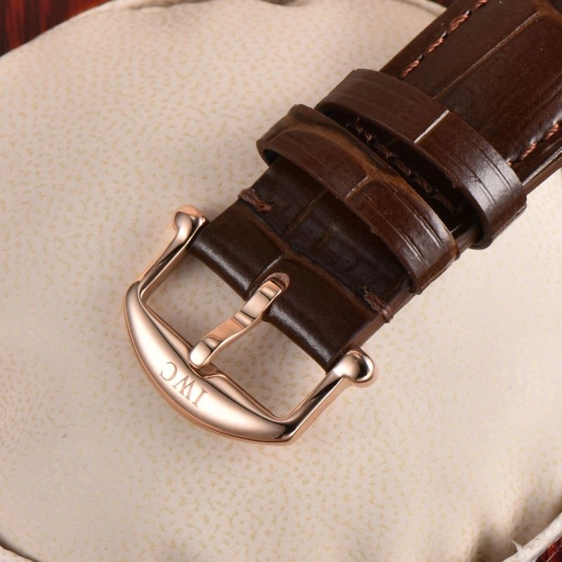 EyeCatching IWC Watches 184599