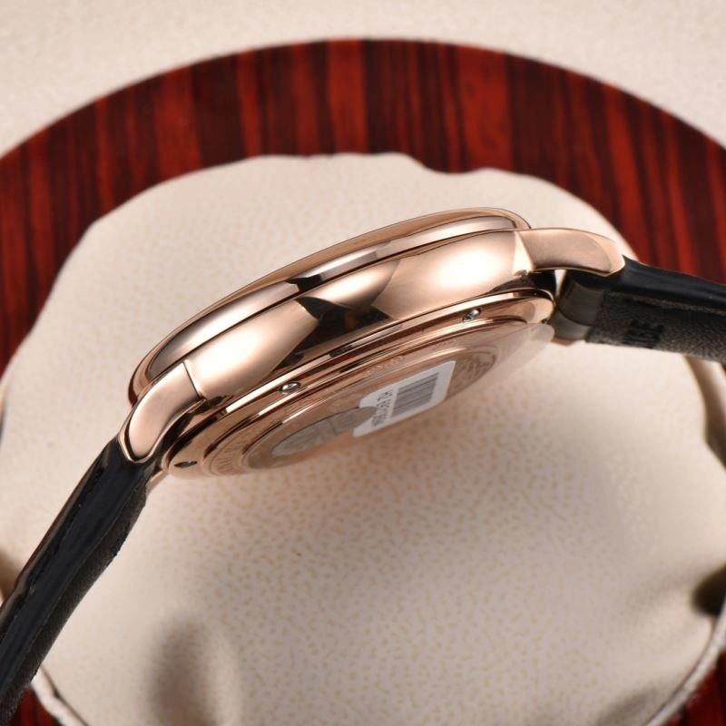 IWC Watches Vibrant 184610