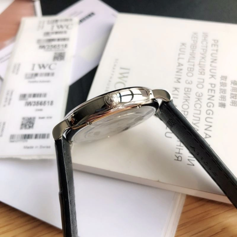 IWC Watches Sophisticated 184573
