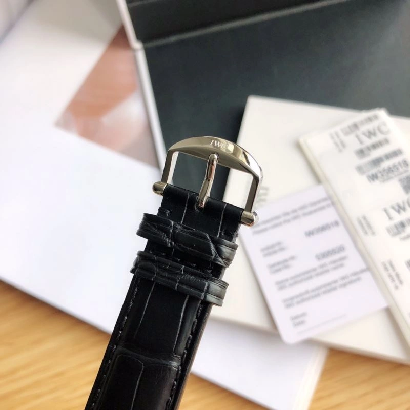 IWC Watches Sophisticated 184573